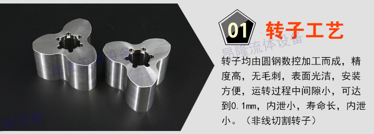 轉(zhuǎn)子泵4